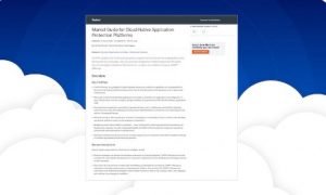 - 2023 Gartner Market Guide for Cloud Native Application Protection Platforms 1