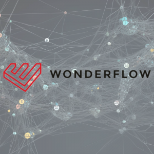 - Wonderflow Using the worlds largest dataset to generate accessible and actionable insights for all